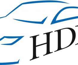 Hagel und Dellen-Profi Logo