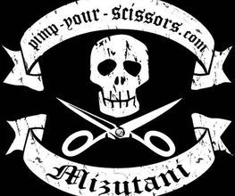 Pimp-Your-Scissors / BSS GmbH Logo