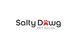 Logo of Salty Dawg Pet Salon with a red paw print as the letter "a" in "Dawg".