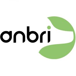 Logo mit Text "anbri" und grünem, halbkreisförmigem Design rechts.