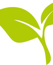 Wellnesstherapie & Mehr Logo