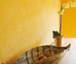Lehmputz Capriccio der Firma Lesando