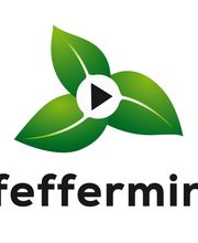 Pfeffermind Consulting GmbH Logo