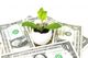 A plant grows in an eggshell with US dollar bills in the background, symbolizing financial growth.