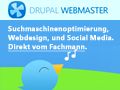 Blaues Vogel-Logo, Text: "Suchmaschinenoptimierung, Webdesign, Social Media. Fachmann."