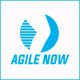 Blaues Logo von "Agile Now" mit zwei abstrakten Formen auf weißem Hintergrund.