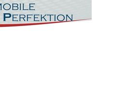 Automobile Perfektion Logo