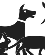 Kleintierpraxis Logo