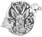 Illustration eines Hirschkopfs mit Geweih, umrahmt von floralem Ornament, in Schwarz-Weiß.