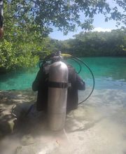 Persona con equipo de buceo junto a lago cristalino rodeado de vegetación.