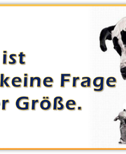 Erfolg ist keine Frage der Größe.