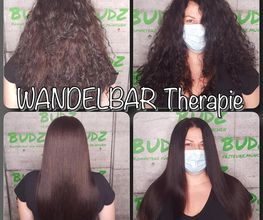 Die Wandelbar-Therapie