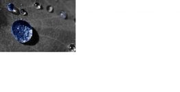 Druppels op een blad, één grote druppel haarscherp en helder blauw.