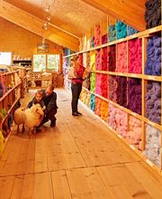 Buntes Wollgeschäft mit Regalen voller farbiger Wolle. Zwei Personen streicheln ein Schaf.