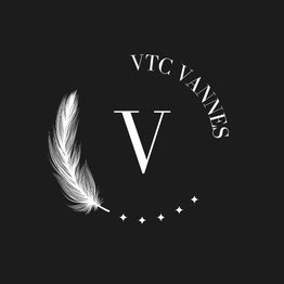 Logo avec plume blanche, "VTC Vannes" et lettre "V" sur fond noir étoilé.