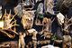 A collection of animal trophies and antlers displayed on a dark wall background.