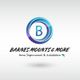 Logo of Barnes Mounts & More, home improvement and installation services with a blue circular design.