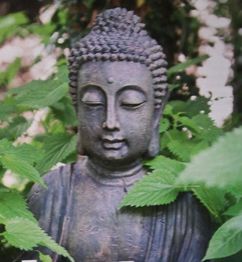 Statue eines Buddha-Kopfes, umgeben von grünen Blättern.