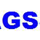 Text "AGSS" in blauer Schrift auf weißem Hintergrund.