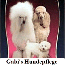 Drei gepflegte Pudel auf rotem Hintergrund mit dem Text "Gabi's Hundepflege" darunter.
