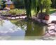 Garten mit Teich, Steinen, Pflanzen und einem gelben Häuschen im Hintergrund.