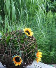 Blumenpräsente für jeden Geschmack und Anlass
