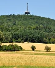 Steuerberater Michael Hasselbach Logo