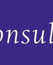 feder consulting Unternehmensberatung Logo