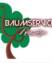 Baum Service Klausnitzer Logo