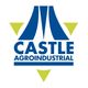 Logotipo triangular azul y verde de Castle Agroindustrial.