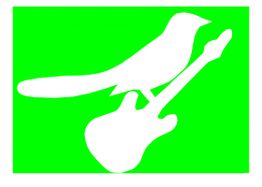 Weißer Vogel auf E-Gitarre-Silhouette vor grünem Hintergrund.