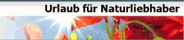 Text "Urlaub für Naturliebhaber" mit bunten Farben und Pflanzen im Hintergrund.