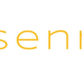 eisenreich events Logo