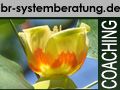 Gelbe Blume mit Schrift "br-systemberatung.de" und "COACHING" auf grünem Hintergrund.