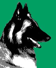 Hundeschule Reinjas Hundezentrum Logo