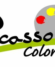 Picasso Color Logo