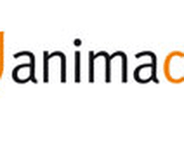 animacon Unternehmensberatung Logo