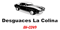 Logotipo de Desguaces La Colina con un coche clásico negro y código AN-0249.