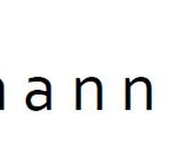 Dr. Feldmann Management Consulting Logo