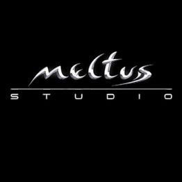 Schwarzes Logo mit dem Schriftzug "meltus STUDIO" in stilisierten Buchstaben.