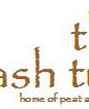thr mash tun Logo