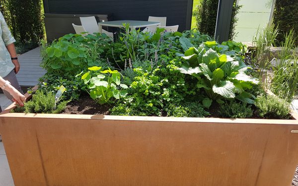 Ein Hochbeet aus Cortenstahl in einem Garten. Bepflanzt mit Salat und Kräutern. Im Hintergrund ist eine Terrasse mit Sitzgarnitur zu erkennen.