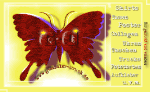 Ein roter Schmetterling auf gelbem Hintergrund mit Texten über verschiedene Druckprodukte.