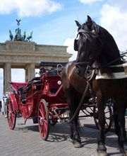 Berlin Kutschfahrt