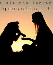 Hundesalon DOGstyle Logo