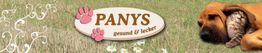 Hund und Katze ruhen im Gras neben dem Panys-Logo mit pinken Pfotenabdrücken.