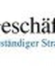 \"Die Geschäftsförderer\" Schneekloth u. Panzer GbR Logo