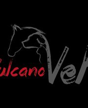 VulcanoVet GmbH Logo