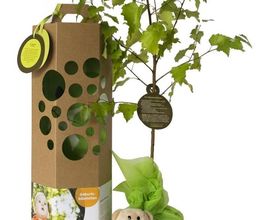 Geschenk zur Geburt