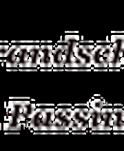 So-Rex Brandschutzservice Logo